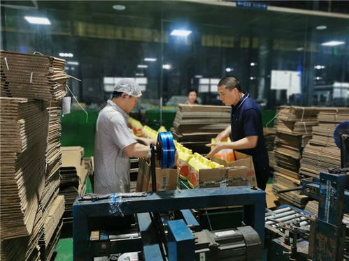 調(diào)結(jié)構(gòu)增產(chǎn)能，四川立白疫情期間產(chǎn)銷不降反升背后的軟件力量